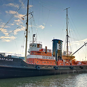 Die Seefalke im Museumshafen