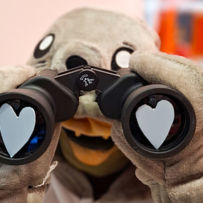 Robbe mit Fernglas Robbe mit Fernglas